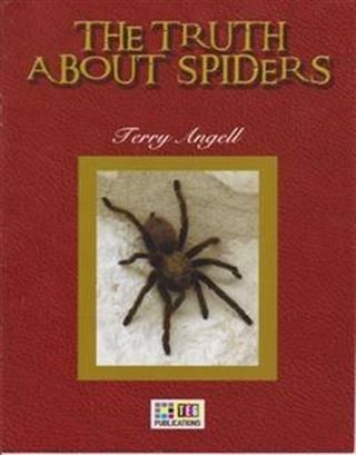 The Truth About Spiders / Stage 4