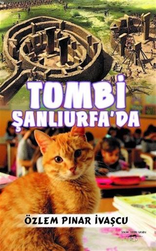 Tombi Şanlıurfa'da