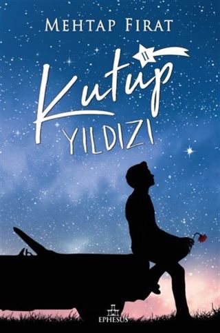 Kutup Yıldızı 2 (Karton Kapak)