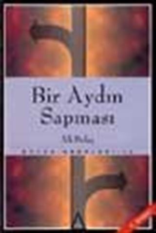 Bir Aydın Sapması