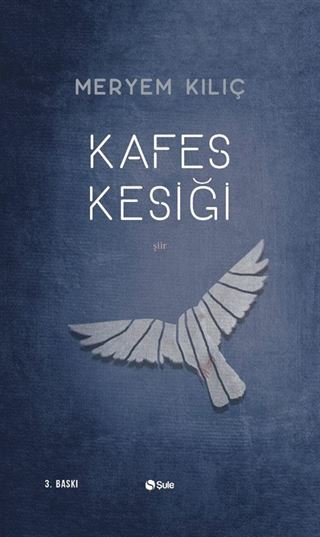 Kafes Kesiği