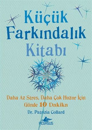 Küçük Farkındalık Kitabı (Fleksi Kapak)
