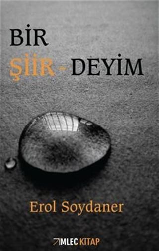 Bir Şiirdeyim