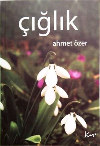 Çığlık