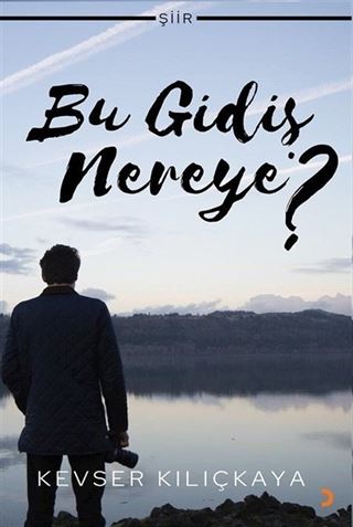 Bu Gidiş Nereye?