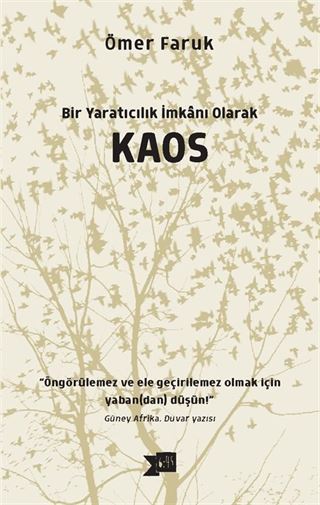 Bir Yaratıcılık İmkanı Olarak Kaos