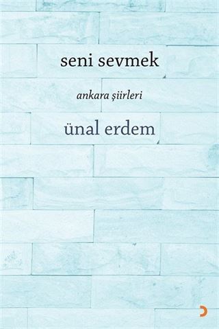 Seni Sevmek