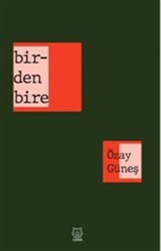 Birdenbire