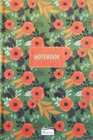 Kareli Defter 12