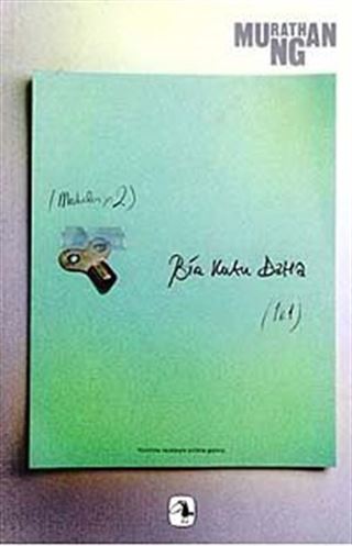 Bir Kutu Daha