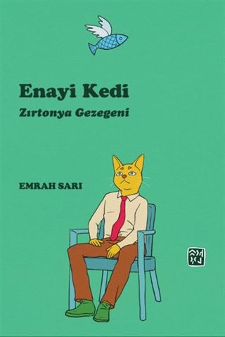 Enayi Kedi
