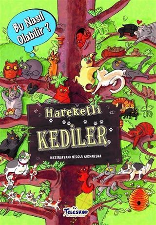 Hareketli Kediler / Bu Nasıl Olabilir?