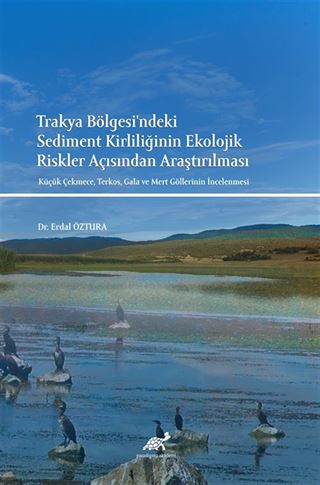 Trakya Bölgesi'ndeki Sediment Kirliliğinin Ekolojik Riskler Açısından Araştırılması Küçük Çekmece, Terkos, Gala ve Mert Göllerinin İncelenmesi
