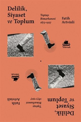 Delilik, Siyaset ve Toplum