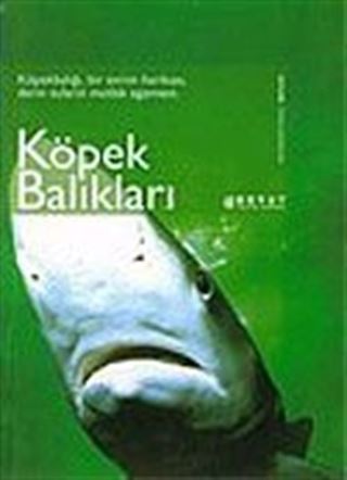 Köpek Balıkları