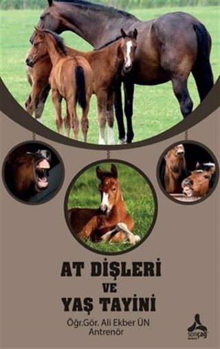 At Dişleri ve Yaş Tayini