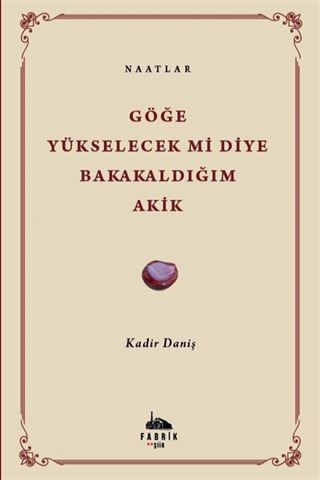 Göğe Yükselecek Mi Diye Bakakaldığım Akik