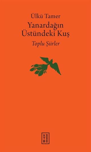 Yanardağın Üstündeki Kuş