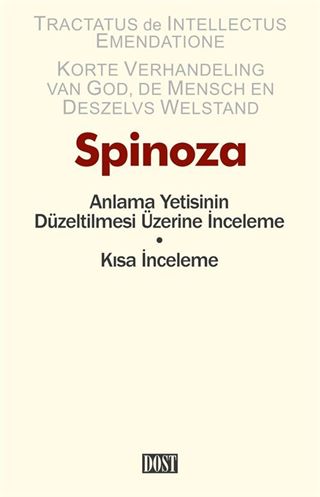 Anlama Yetisinin Düzeltilmesi Üzerine İnceleme - Kısa İnceleme