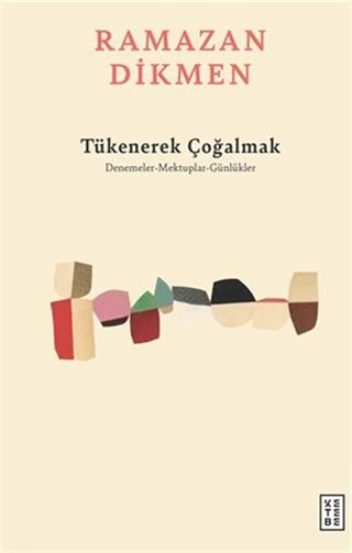 Tükenerek Çoğalmak / Denemeler, Mektuplar, Günlükler