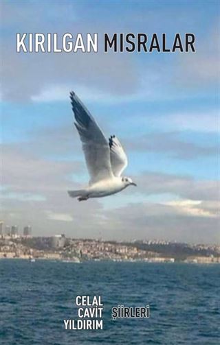 Kırılgan Mısralar