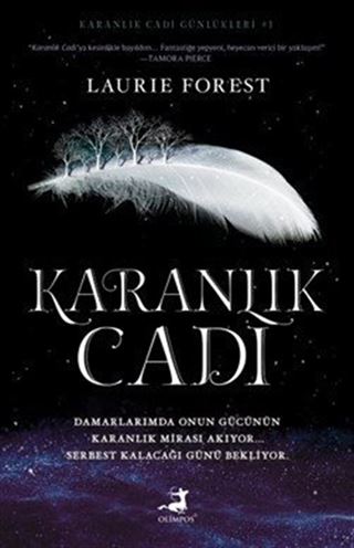 Karanlık Cadı (Karton Kapak)