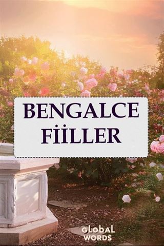 Bengalce Fiiller