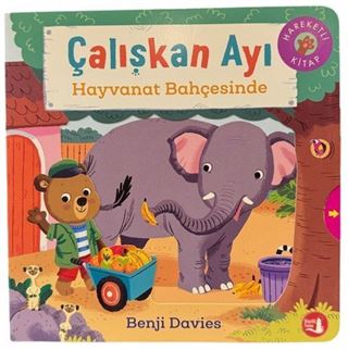 Çalışkan Ayı / Hayvanat Bahçesinde