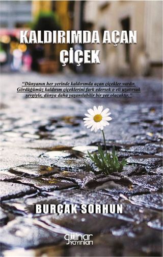 Kaldırımda Açan Çiçek