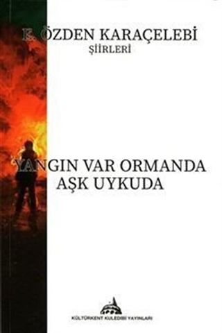 Yangın Var Ormanda Aşk Uykuda