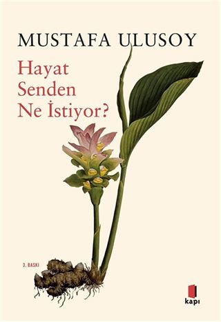 Hayat Senden Ne İstiyor?
