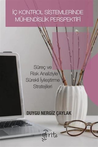 İç Kontrol Sistemlerinde Mühendislik Perspektifi