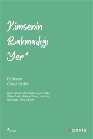 Kimsenin Bakmadığı Yer