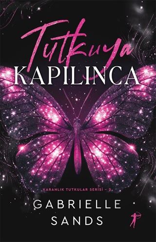 Tutkuya Kapılınca / Karanlık Tutkular Serisi 2