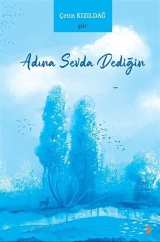 Adına Sevda Dediğin