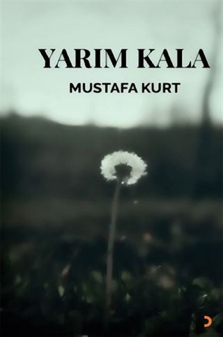 Yarım Kala