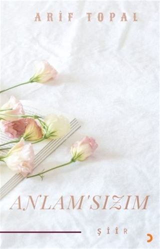 Anlamsızım