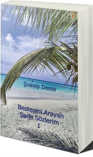Bestesini Arayan Şarkı Sözlerim 1