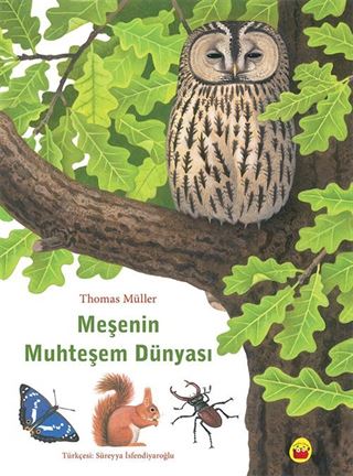 Muhteşem Meşe'nin Dünyası