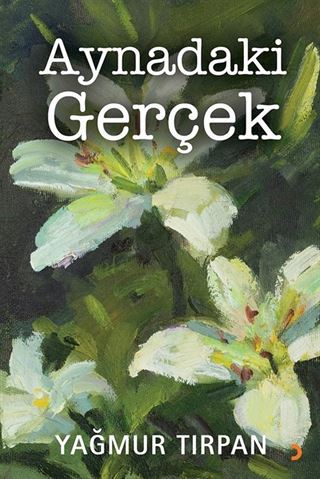 Aynadaki Gerçek