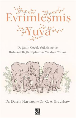 Evrimleşmiş Yuva