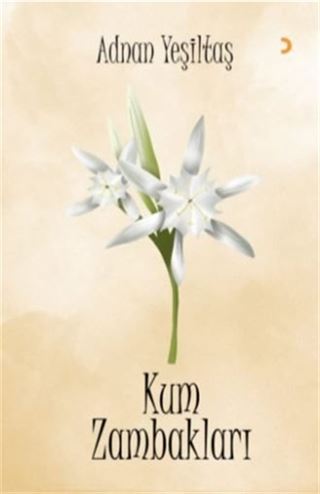 Kum Zambakları