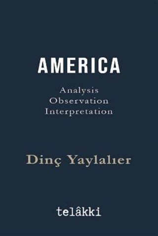 Amerıca Analysis - Observation - Interpretation