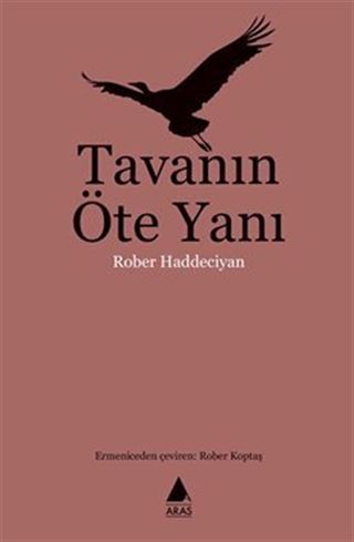 Tavanın Öte Yanı