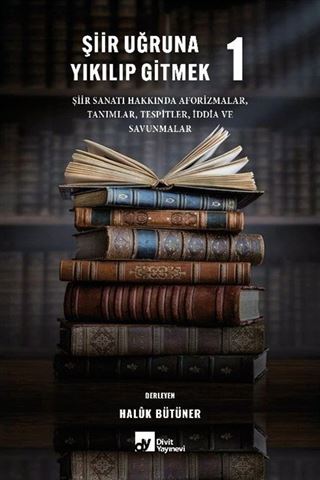 Şiir Uğruna Yıkılıp Gitmek 1