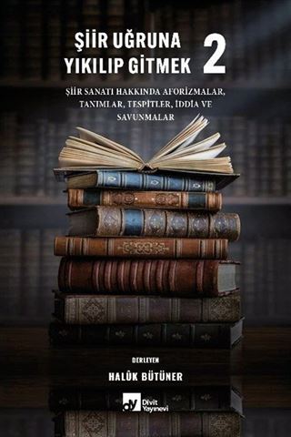 Şiir Uğruna Yıkılıp Gitmek 2