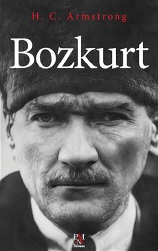 Bozkurt