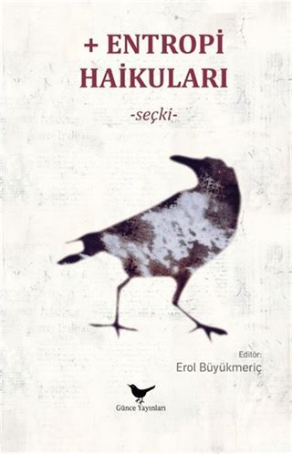 Entropi Haikuları