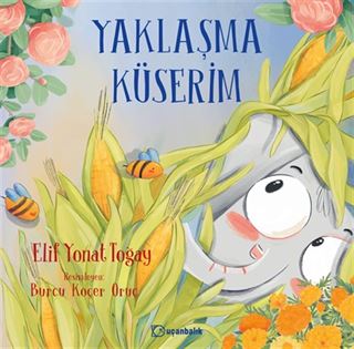 Yaklaşma Küserim
