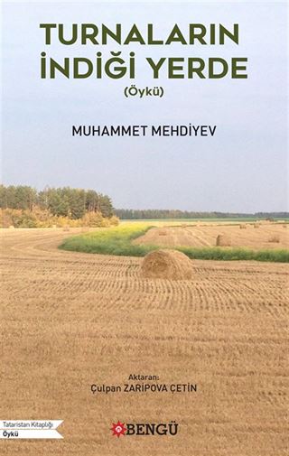 Turnaların İndiği Yerde (Öykü)